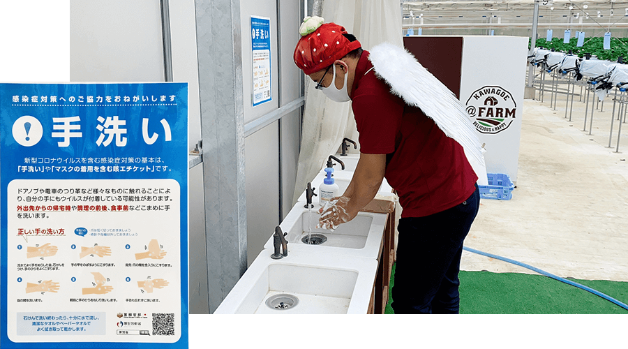 来て 見て 触って 味わって Farmのいちご狩り