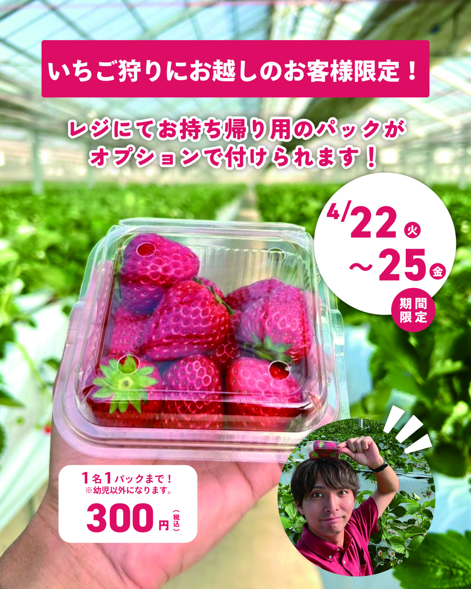 いちご狩りもラストスパート！お持ち帰り用いちごパックがオプションで 