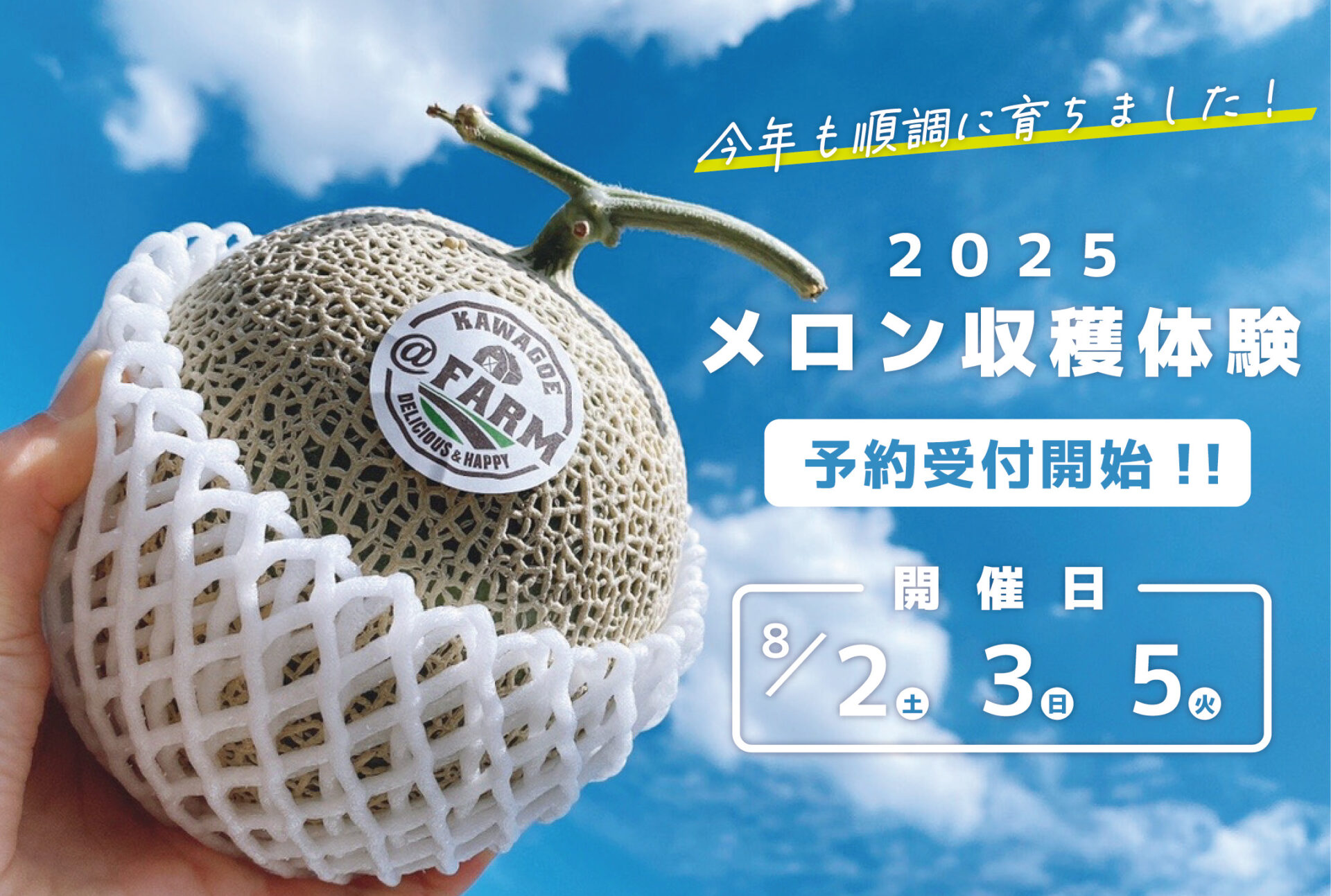 baa52850dde5bf71e1cf456bdb0d56