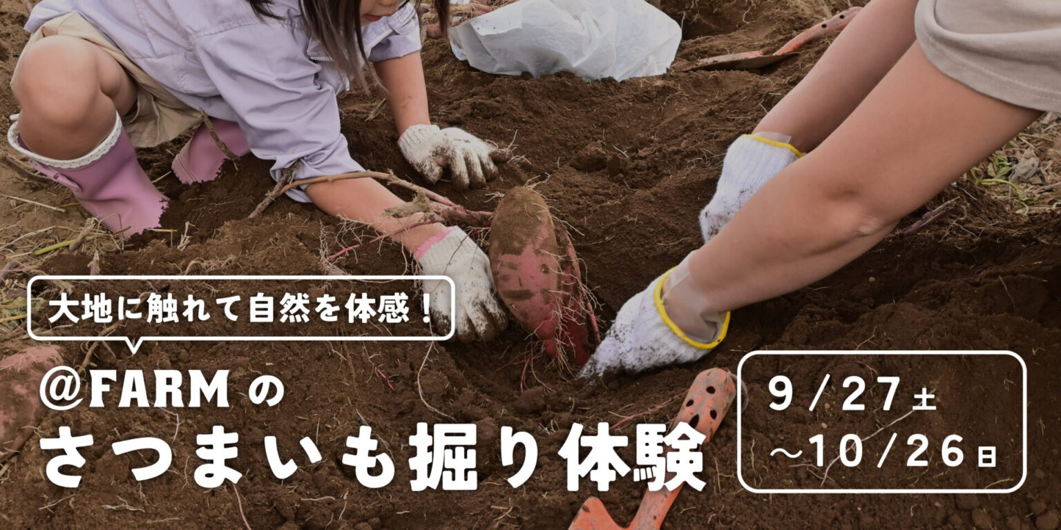 さつまいも掘り 東京近郊 ＠FARM